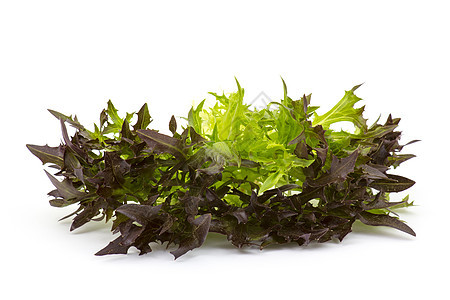 白色的罗罗索生菜紫色植物沙拉多叶蔬菜绿色叶子食物农业成分图片
