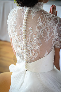 结婚那天年轻新娘的后背珍珠织物庆典玫瑰生活会议已婚裙子发型蕾丝图片