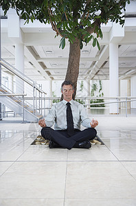 在办公大楼的树下进行整个商业商长的冥想图片