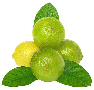 石灰叶子水果食物柠檬团体图片