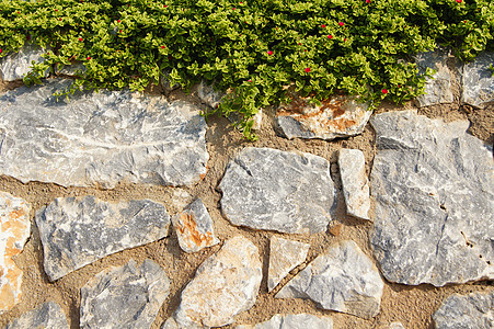 石墙 有常春藤植物灰色水泥墙纸登山者建筑水平城市绿色岩石图片
