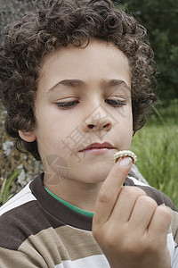 男孩(7-9)在户外携带毛毛虫图片