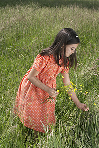 快乐的年轻女孩在田里采花图片