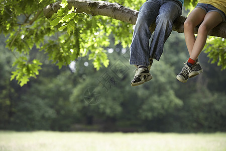 在树枝上放松的低层男女小男孩和少女图片