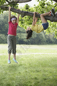 在树枝上挂着的玩耍的女孩图片