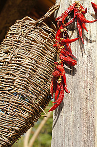 红辣椒厨房植物白色辣椒蔬菜胡椒混合物香料烹饪红色图片