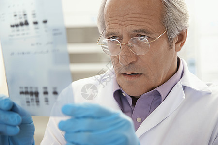 检查DNA测试结果的成熟男性科学家的近距离观察图片