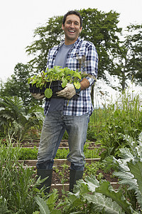 一个带着田地植物的快乐男人的全长肖像图片