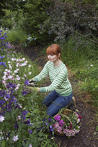 一位年轻妇女在花园采花的全长侧观景图片