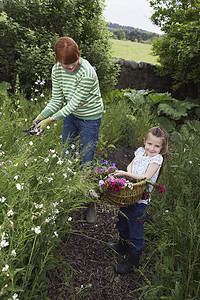 母亲和女儿在花园收集花朵的侧面视图图片