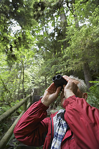 森林中的高年长男子用望远镜向上看图片