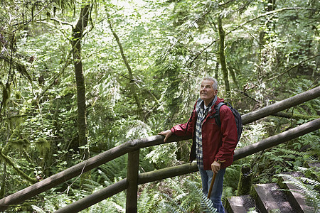 高级男子在森林的足迹上寻找头发生态旅游栏杆楼梯风景休闲活动享受短发一人图片