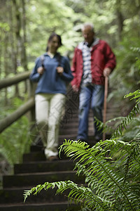 中年女性和高龄男性走上森林足迹 重点关注前方的胎儿图片