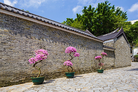 传统的中国传统建筑结构天空花园花盆入口房子建筑学植物蓝色石头寺庙图片