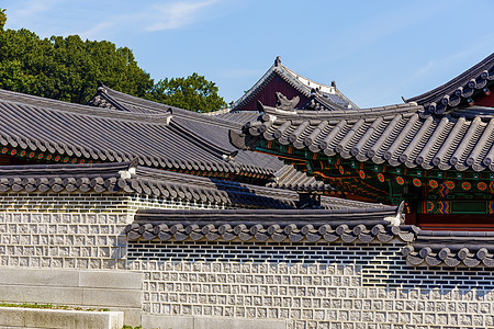 韩国传统建筑朝鲜传统建筑植物蓝色寺庙建筑学天空房子文化历史装饰品雕塑图片