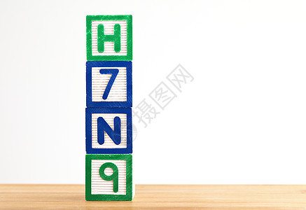 H7N9 木制玩具块图片