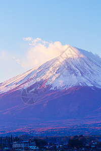 富士山积雪火山公吨日落植物冰镇顶峰图片