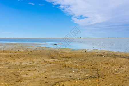 火烈哥旅游海滩海岸季节旅行海岸线天空鸟类阳光支撑高清图片