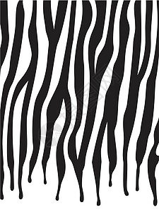 斑马印刷图样的抽象皮肤纹理哺乳动物野生动物墙纸打印隐藏动物园条纹动物群墨水毛皮图片
