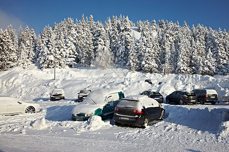 冬季停车天气假期树木滑雪障碍公园停车场汽车高山松树图片