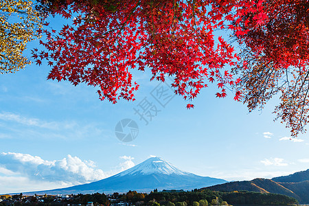 秋秋藤山红假草原红树芦苇红色枫树杂草公吨花园火山图片