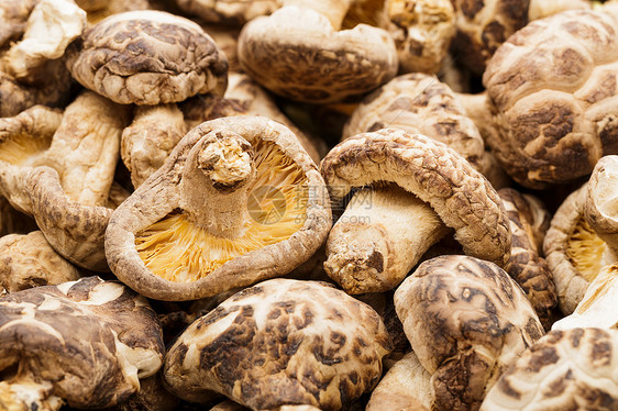 干蘑菇的堆积蔬菜健康脱水食物菌类棕色团体美食药品图片