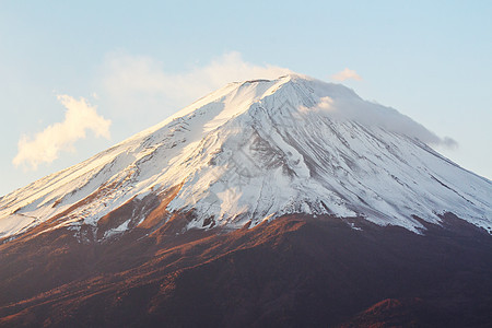 富士山植物粉色火山日落积雪顶峰阳光冰镇公吨图片