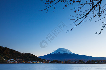 富士山和湖火山树枝公吨顶峰植物图片