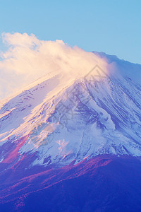 藤藤山关门了日落积雪粉色顶峰冰镇阳光火山公吨植物图片