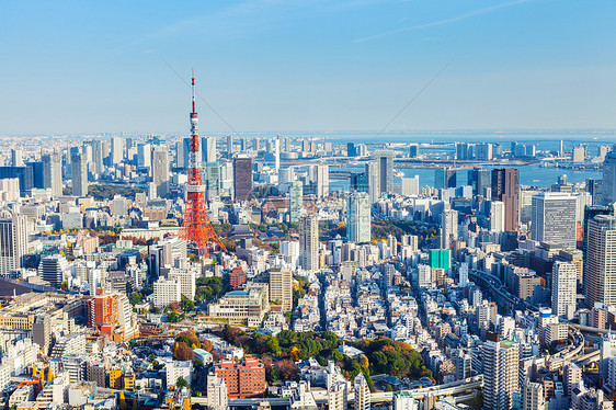 东京市天际建筑蓝色鸟瞰图建筑学天空城市景观地标场景图片