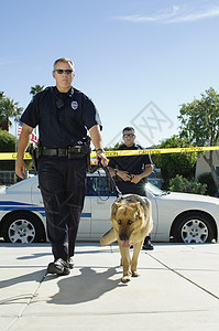 案发现场一名警官在犯罪现场带受过训练的狗行走 满身都是警察背景