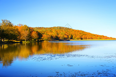 湖湖景观公园晴天全景森林天空树叶荒野蓝色叶子反射图片