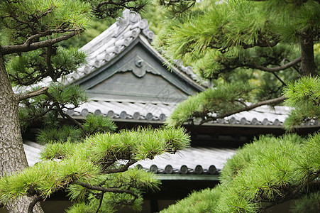 日本 东京东京皇宫天门屋顶东门 从树上看到松树历史性建筑学瓦片地方文化房顶外观纪念碑建筑图片