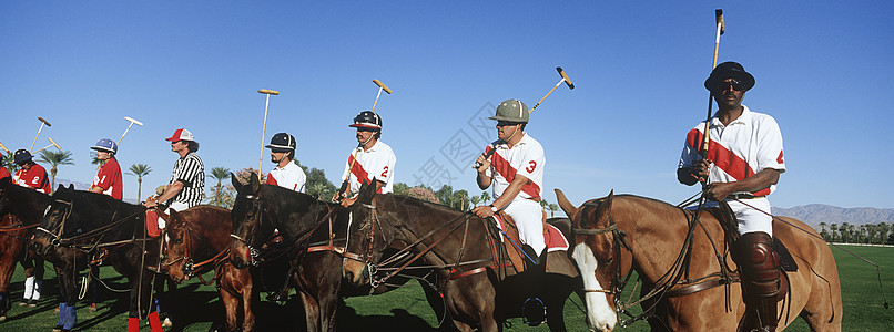 野外骑马的波罗球队图片