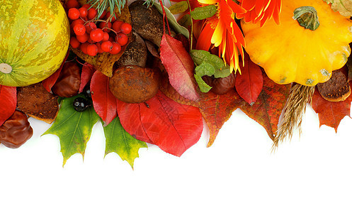 秋季框架乡村叶子红宝石枫叶壁球季节边界浆果纹理板栗图片