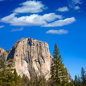 Yosemite 国家公园顶峰森林岩石悬崖石头红杉蓝色假期编队世界遗产图片