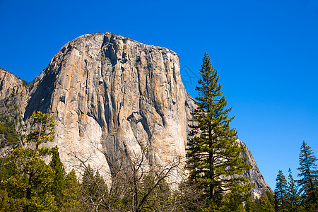 Yosemite 国家公园编队红杉世界遗产岩石蓝色酋长公园晴天天空马尾图片