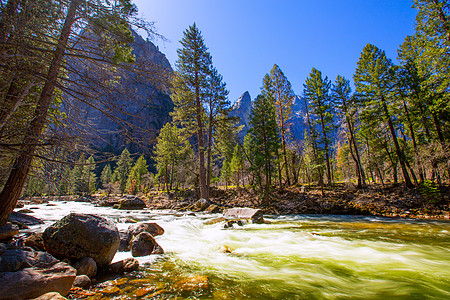 Yosemite国家公园 加利福尼亚市Merced河世界遗产石头森林晴天悬崖假期地标岩石公园红杉图片