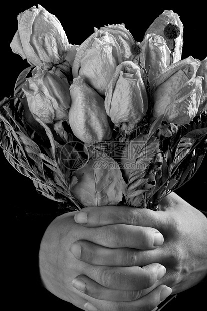 肮脏的手和干枯的玫瑰指甲女孩装饰品处女寡妇花瓣手指植物图片