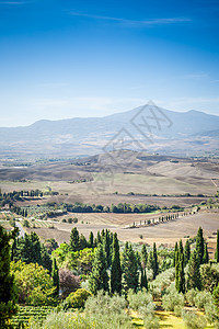 Pienza 景观季节农业农家环境草地地平线农村爬坡蓝色丘陵图片