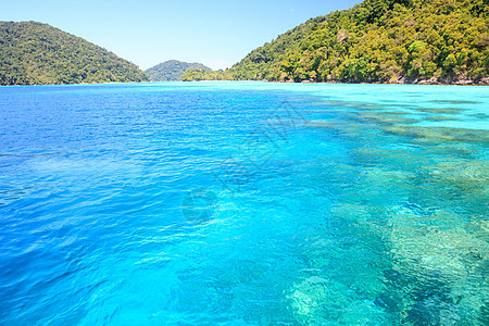 美丽和美丽的海天堂浮潜海洋波纹蓝色天空呼吸管珊瑚海岸叶子图片