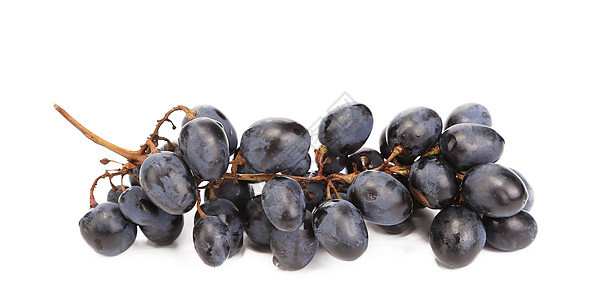 黑熟葡萄的近距离接近藤蔓食物栽培葡萄园紫色美食收成水果蓝色美丽图片