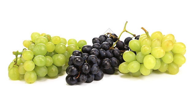 黑葡萄和绿葡萄蓝色美丽食物植物水果收成栽培紫色藤蔓葡萄园图片