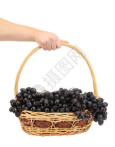 手把黑葡萄放在篮子里图片