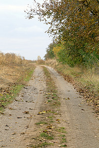 农村道路自动化视图图片