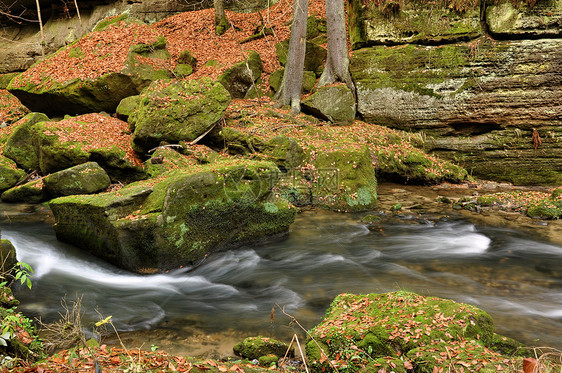 含有石头的秋季河洪水溪流场景荒野岩石瀑布流动运动风景海浪图片