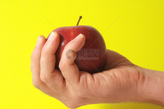 手头上的苹果采摘饮食药品概念食物减肥圣经果实红手水果图片