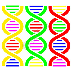 DNA符号 矢量插图边界科学染色体化学生物学技术药品蓝色螺旋青色图片