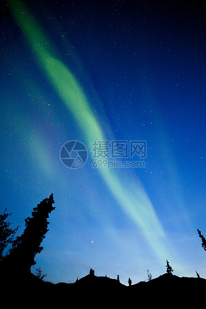 育空地区北极光星星北极光天空针叶林夜空针叶树森林辉光云杉树云杉图片