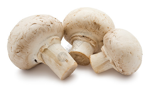 香农蘑菇宏观食物美食白色营养团体茶点蘑菇蔬菜图片